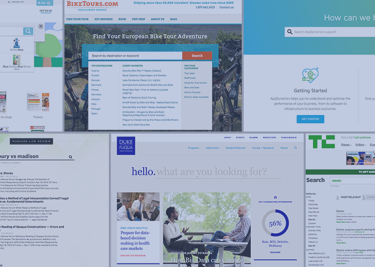 10 Examples of WellDesigned Search UIs The Swiftype Blog